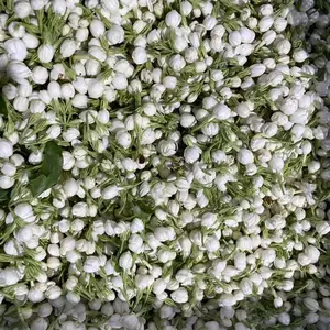 玫瑰浸膏设备 茉莉浸膏设备 桂花浸膏设备 浸膏提取设备 鲜花浸膏提取设备