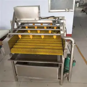 气泡翻滚式清洗机图片-山东广盈机械-黄瓜气泡翻滚式清洗机图片