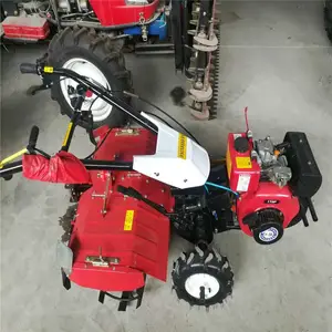 ���� һ������������ ����С�ʹ���� ��������������