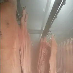 肉类排酸库加湿器 排酸预冷库加湿机 冷却排酸间增湿机