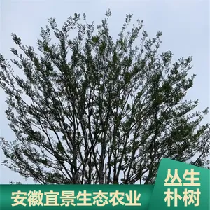 ԰���̻��Ǽܴ������� 3��5�������ٶȿ��������