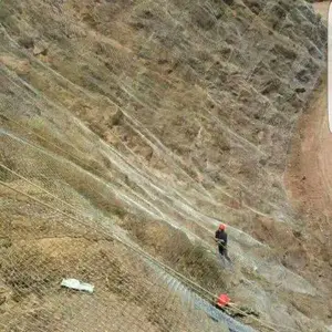 ���ܱ��·����� ���������� ����������ʵ�峧��