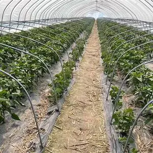 贵州农用PO膜批发 山东省守正塑业供应