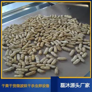 磊沐全自动大枣干燥杀虫机 隧道式南瓜子微波烘干机智能操作