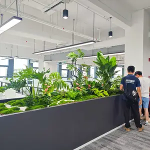 广州植物租摆 鲜花绿植租赁室内花卉盆栽租售开业花篮
