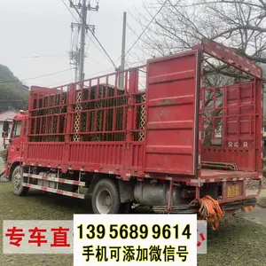 �Ϻ���̼��ľΧ�������ε��������С�������Ʒ��