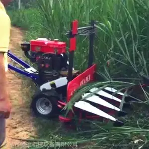 ��ĸ��ƽ���Ƭ�� �����������ɰ��ݸ�ɹ�� ��ʥ