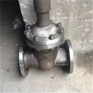 FDZ45H-16C DN25Կ�׷���բ����������բ��-�����š�����