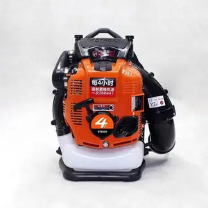 ����ʽ������ĳ�����ʹ�ѩ��԰����Ҷ��ɨ����ɭ�ַ�������