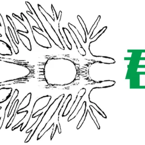 ��˾logo