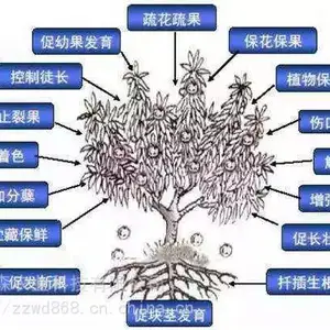 磷酸二氢钾促花保果，膨果着色肥，矿质粉剂型磷酸二氢钾