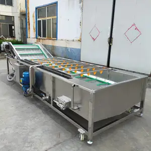 油菜菠菜专用气泡清洗设备 预制菜专用果蔬清洗机