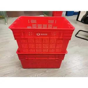 SP ���Ͽ� �߲�ˮ��ʳƷ�� ��ϺϺ������� ����