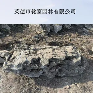 大英石假山石材 韩国工程景观置石 原石清洗打包支持海运出口