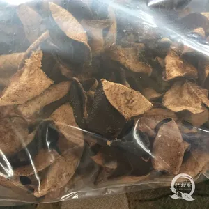 供应忆柑香新会陈皮产地直供自有柑园陈皮