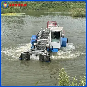 ˮ���ո ˮ��ˮ��ֲ����̴� ���汣�ബ ��ʤ��е