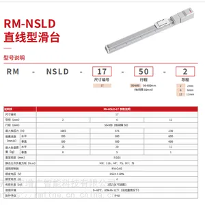 增广RM-NSLD轨道内嵌式滚珠螺杆滑台线性精密丝杆模组全封闭滑台