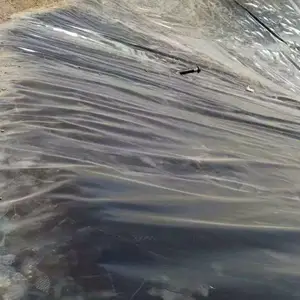 聚乙烯防水板厂家 聚乙烯防水板 防水板厂家