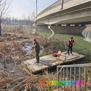 水上收割芦苇 水下收割芦苇 深水收割芦苇 冰上收割芦苇施工团队