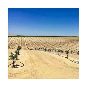 ����ũҵ��ι�ˮ��һ�廯���̲����嵥����