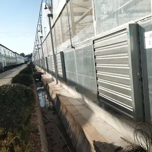 ��ֲ����ר�÷��ˮ����������