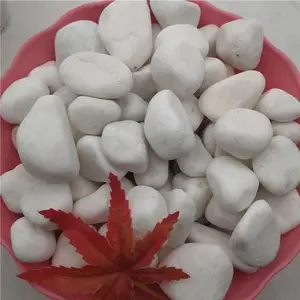 ��ɫС����ʯ�۸� �ӱ���˳��ɫС����ʯ����