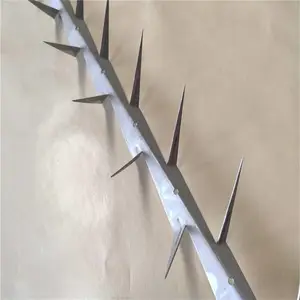 ����ǽͷ������ �յ������������ ��п�̶�����