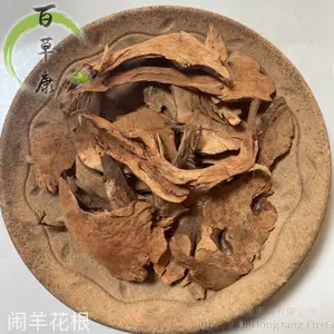 ������ҩ���������-���������������