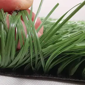 �����̻��޺��ٲ�Ƥ ��԰ѧУС�����������