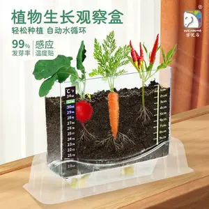 学优马植物根系观察盒种植种子生长科学实验手工玩具儿童中小学生