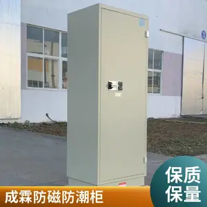 防磁柜DPC系列 防磁防潮柜DMC系列（无 锡）成霖牌