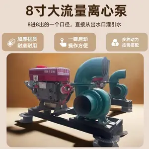 8�����ıò����ϳ��� ��̵��������� ˮ����ֳ������Ѵ���Ա�