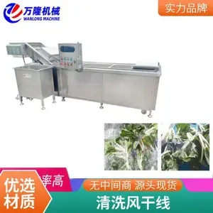 广州洗菜机 多功能蔬菜清洗机 洗西兰花 鸡肉清洗机 洗排骨设备