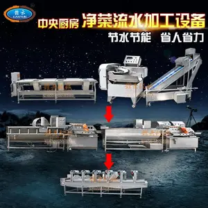 赣云 GY-QXX-100 全自动叶菜无损清洗流水线 380V 双重气泡高压喷淋净菜加工设备 生菜香菜韭菜预制菜连续清洗生产