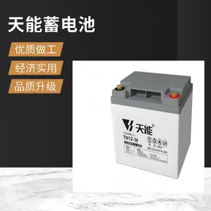 ��������NT12-24E����ʽ���12V24AHֱ����UPS��Դ����