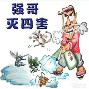 绵阳各县市区灭老鼠灭蟑螂灭白蚁灭跳骚技术支持,专业技术跟踪服务