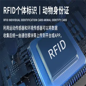 电子耳标畜牧养殖智慧动物猪牛羊测温定位RFID行为分析耳标号牌