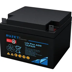 原装法国RUZET蓄电池12LPA20机房基站UPS电源后备用12V-20AH蓄电池
