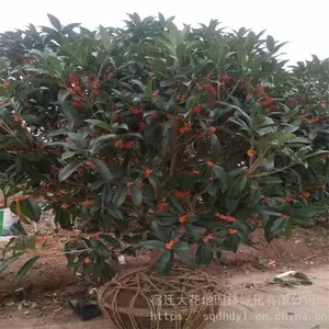 ����10���ֽ���г����� 8���ֹ������� ���ɻ��� ������