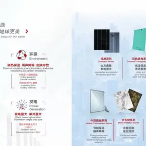 邯郸中建材碲化镉薄膜发电玻璃-画卷系列1.92㎡（1600*1200mm）