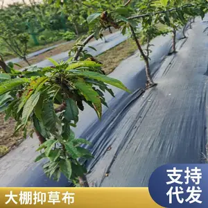 ������ֲ���ݲ� ��ɫ���ݵز� pp���ݲ� �ǲݲ�