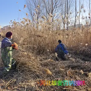 רҵ��԰�ո�«έ �ӵ��ո�«έ ��ˮ�ո�«έ רҵ�ո�«έ�ĺ�����