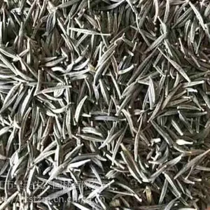 昊天种业一级格桑花种子低价供应