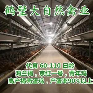 60����-105�����꼦�������������ؾ���˫��꣬�󳧼����������