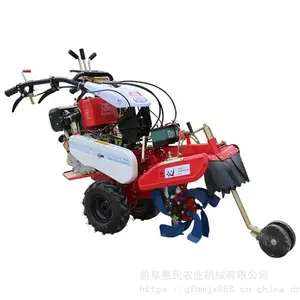 ���ͷ���186�Ϳ��������� ������ֲ������¢�� ������