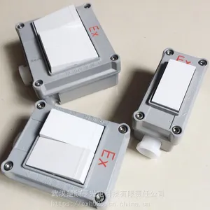 SW-10A防爆照明开关 SW-10A防爆防腐照明开关,防爆转换开关