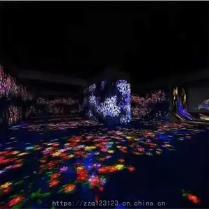 ����ʽͶӰ���� ���������λþ��㵺�������