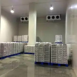 什么是冷库?安装一个冷库的造价是多少?