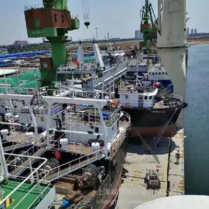 ɢ������SAN DEIGOʥ���������Ӵ�ɢװ�����亣��