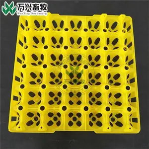 供应万兴畜牧30枚鸡蛋蛋托